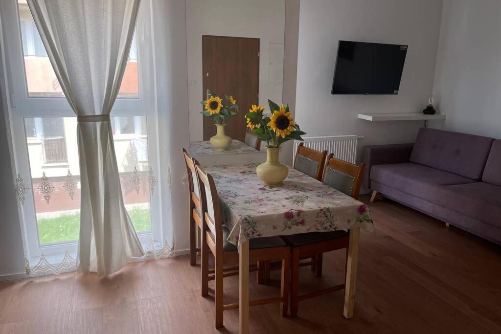 Apartament Seagull 30M2 헬 외부 사진
