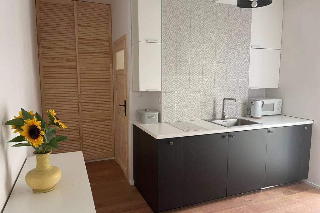 Apartament Seagull 30M2 헬 외부 사진